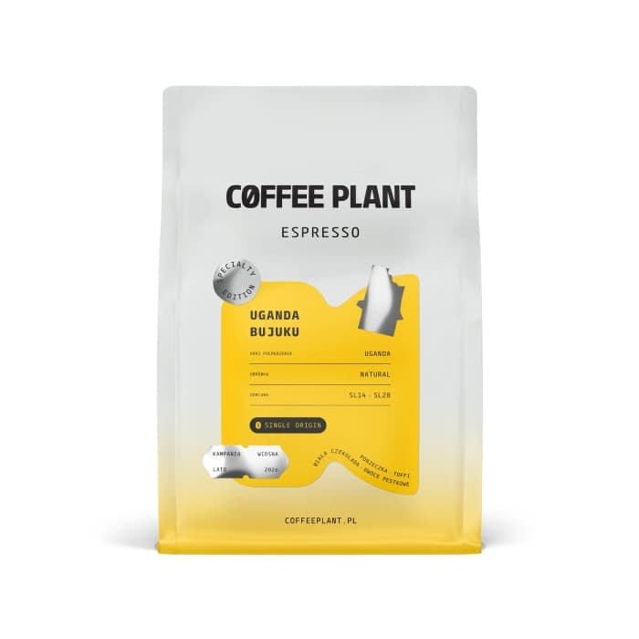 Uganda Bujuku — Coffee Plant
