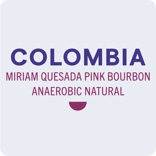 Colombia Miriam Quesada Pink Bourbon Anaerobic Natural
