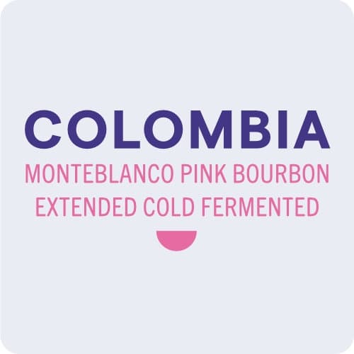 Colombia Monteblanco Pink Bourbon Extended Cold Fermented