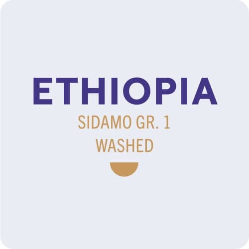 Ethiopia Sidamo Gr.1 Washed
