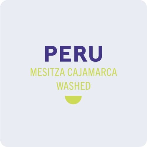 Peru Mestiza Cajamarca Washed