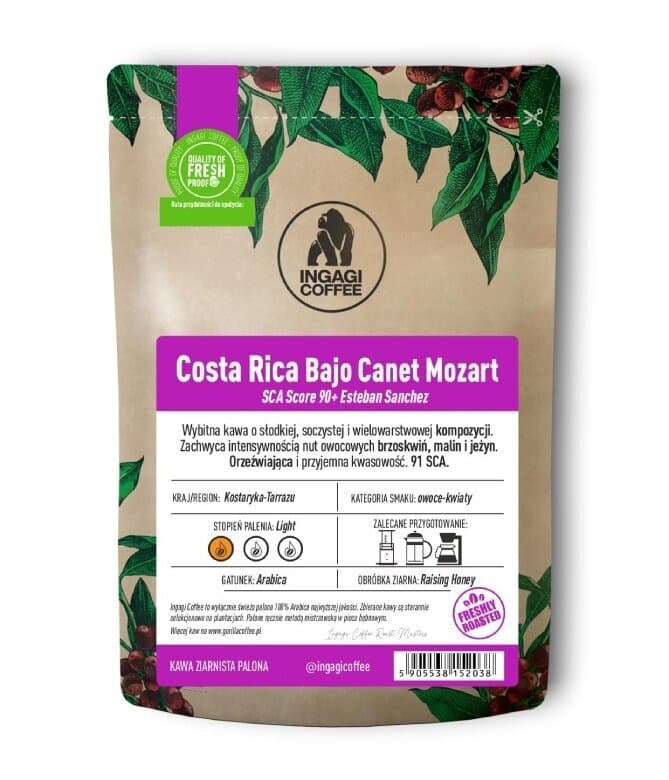 Kostaryka Bajo Canet Mozart