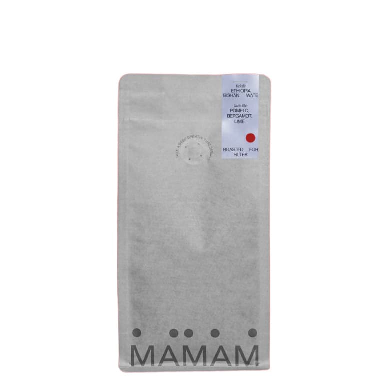 Ethiopia Bishan Wate Filter